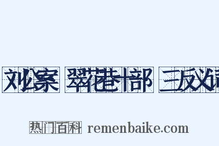 刘公案·翠花巷十部·三反义词是什么意思的图片
